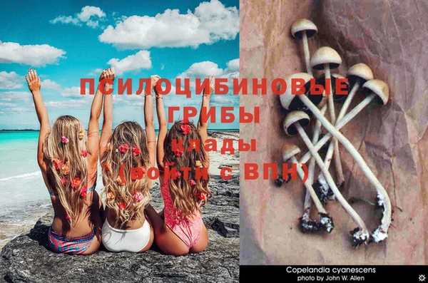 MDMA Нефтекумск